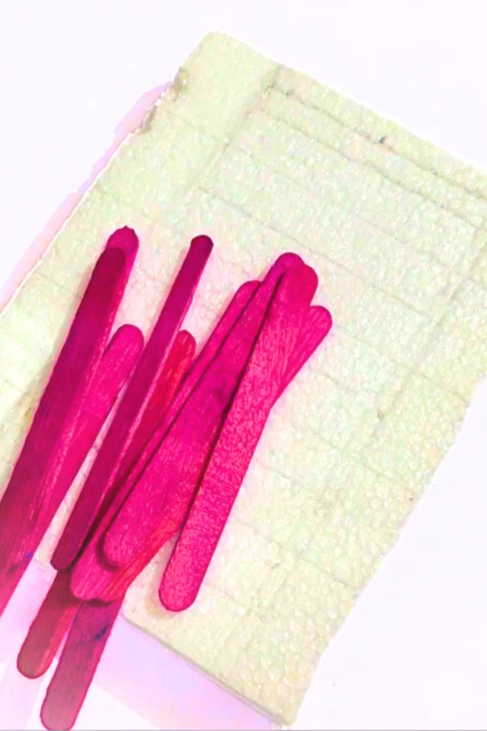 styrofoam and popsicle sticks
